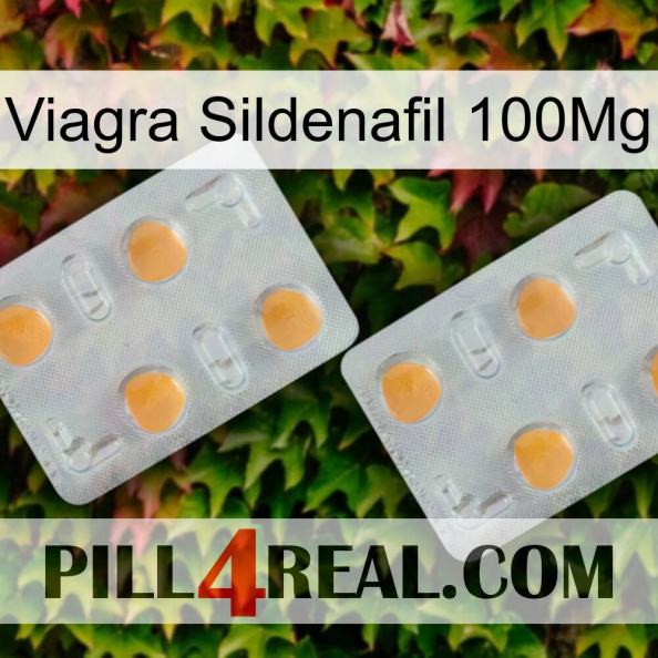 Viagra Sildenafil 100Mg 25.jpg